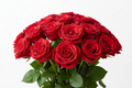 Red roses